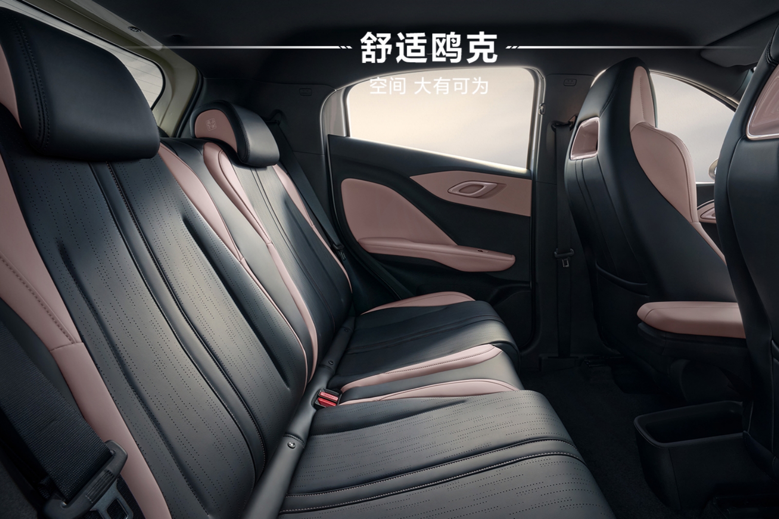 2025款比亞迪海鷗